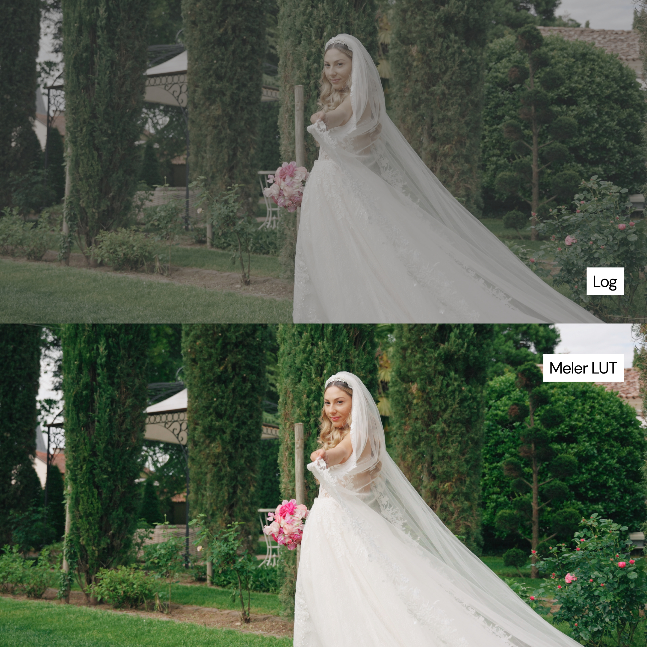 Wedding LUT Collection